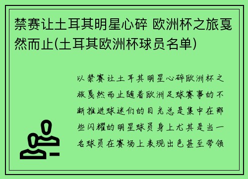禁赛让土耳其明星心碎 欧洲杯之旅戛然而止(土耳其欧洲杯球员名单)