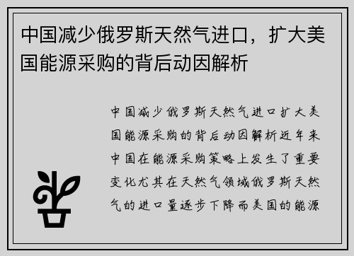中国减少俄罗斯天然气进口，扩大美国能源采购的背后动因解析