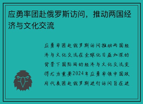 应勇率团赴俄罗斯访问，推动两国经济与文化交流