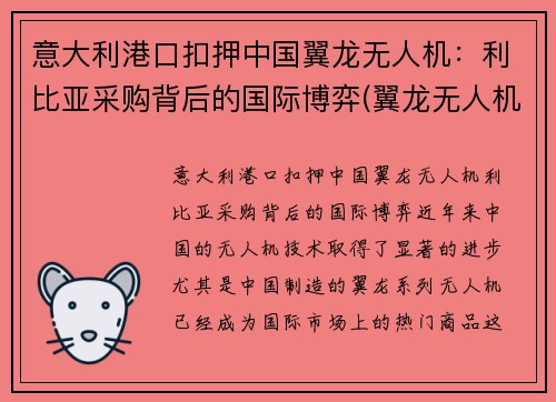 意大利港口扣押中国翼龙无人机：利比亚采购背后的国际博弈(翼龙无人机国外实战)