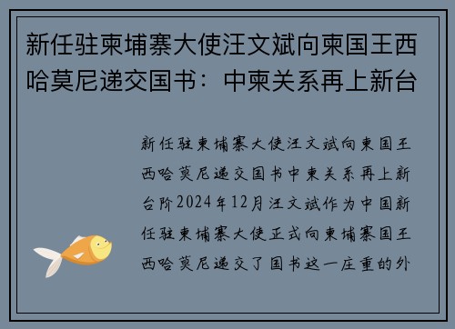 新任驻柬埔寨大使汪文斌向柬国王西哈莫尼递交国书：中柬关系再上新台阶